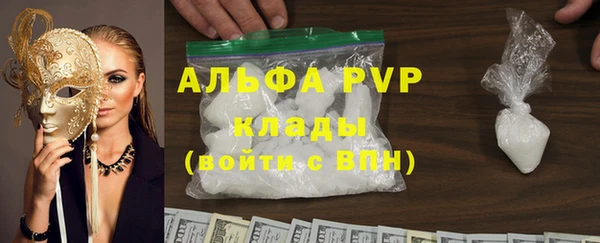 стафф Коряжма