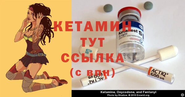 стафф Коряжма