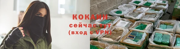 spice Костерёво