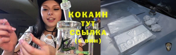 стафф Коряжма