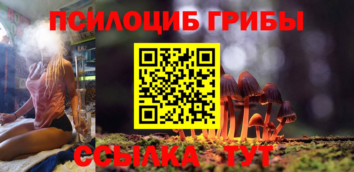 магазин    Вход с VPN  Аргун  Псилоцибиновые грибы ЛСД 