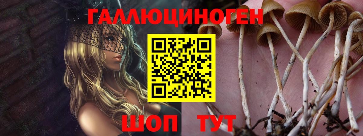 Галлюциногенные грибы Cubensis  Аргун  Псилоцибиновые грибы Cubensis 