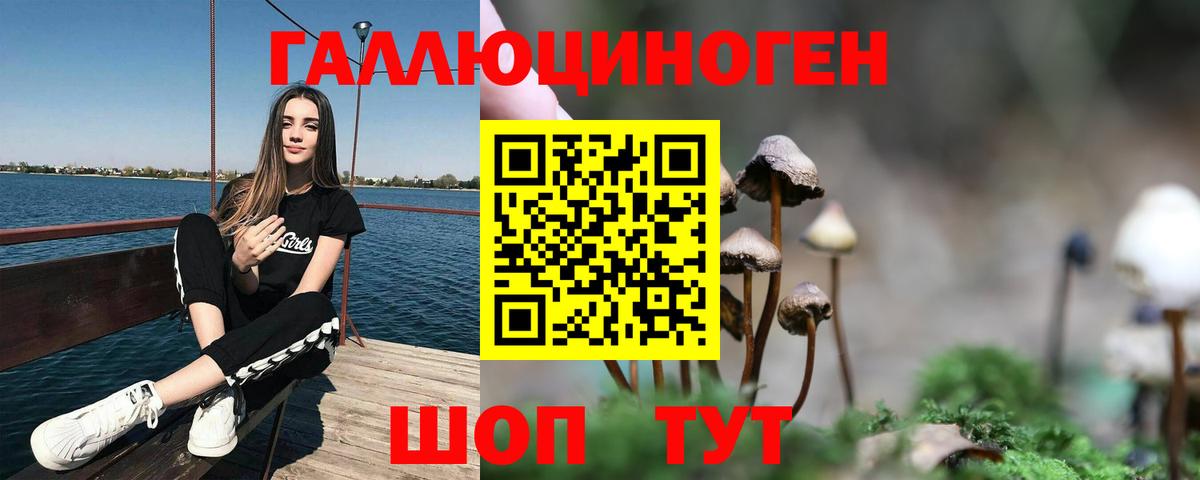 Псилоцибиновые грибы мухоморы Аргун